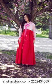 Portrait Young Woman A Korean Bride In National Costumes Stand By Cherry Blossom Tree In Spring