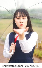 Portrait Of Young Woman Short Hair Wear Japanese Student High School Uniform With Umbrella Under Rain Drop. People Cosplay In Japan Culture Lifestyles.