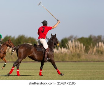 portraits of polo players in argentina polo field - Powered by Shutterstock