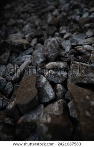 Portraiture of a group of rocks 