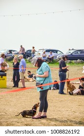 Portsmouth, England/United Kingdom - Aug 26th 2013: A Happy Dachshund Dog Looking At A Smiling Lady In A Dog Show Ground.