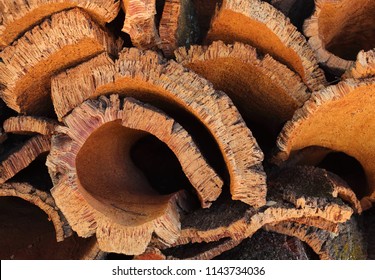 Portugal, Alentejo region. Recently harvested cork oak bark drying in the sunshine. (unprocessed cork) Natural, sustainable resource. Shallow selective focus. 