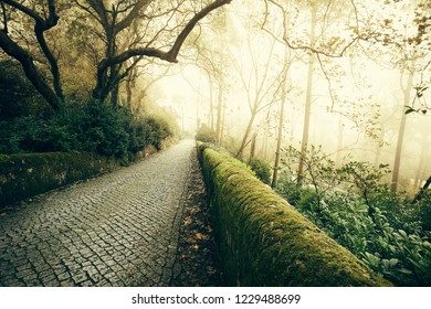 Portugal, Sintra, Hiking Moutain Path In The Fog, Forest Near Lisbon