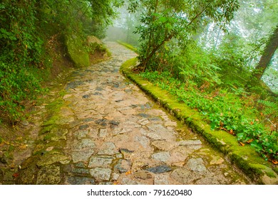 Portugal, Sintra, Hiking Moutain Path In The Fog, Forest Near Lisbon 