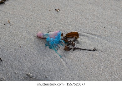 A Portuguese Man O' War Washed Ashore On A Sandy Cornish Beach