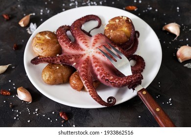 octopus food