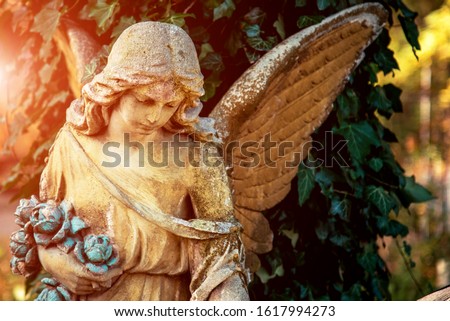 Positive, affirming image with an angel figure in sunlight. A symbol of hope, comfort, compassion and psychological help.