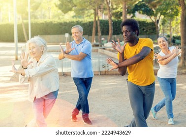 Positive African American Coach Helping Older People To Stretch Their Muscles And Joints Before Dancing Outdoors In The Park