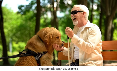 Positive Blind Man Feeding Guide Dog, Sitting In Park, Nutritious Canine Food