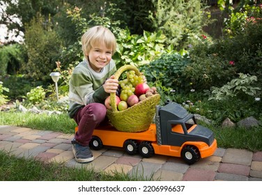 Positive Cheerful Boy Is Carrying Basket With Organic Farm Apples And Grapes On Big Toy Car - Truck. Courier, Truck Driver, Like Dad. Games For Boys Little Helper To Collect And Transport Crops