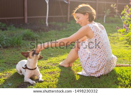 Similar – schwarzer Hund spielt mit Stock