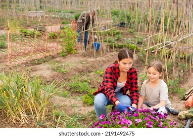 Positive Child Girl Working With Flowers With Mother And Father At Allotment