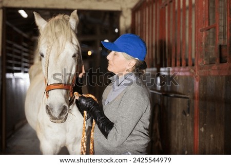 Positive elderly woman stable owner holding white purebred horse by bridle, stroking animal neck. People and animals friendship concept..