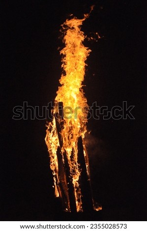 Similar – Fire Plant VI Night sky