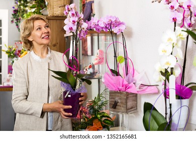 floral posite