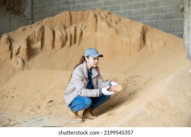 Positive Female Farm Worker Holding Scoop With Soybean Hulls, Natural Cattle Feed, At Farm Storage