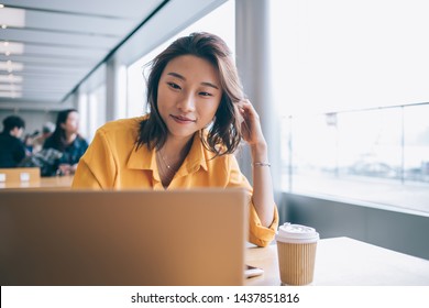Positive female freelancer downloading media files during distance job with startup project using high speed internet connection on netbook, successful student preparing course work presentation
