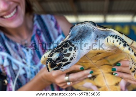 Positive female with turtle in hands in animals adoptation center on Bali island.