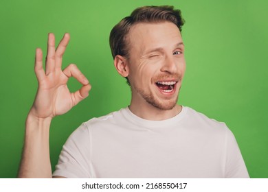 Positive Flirty Blond Man Show Okey Sign Wink Eye Isolated On Green Color Background