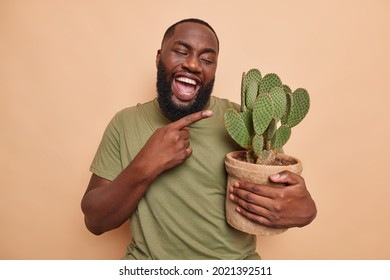 Positive Funny Bearded Man Botanist With Dark Skin Points At Pot Of Succulent Cactus Likes New Type Of Houseplant For His Garden Wears Casual T Shirt Isolated Over Beige Background. Look At This