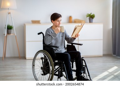 Positive Handicapped Teen Boy In Wheelchair Reading Interesting Book And Drinking Coffee At Home. Cheerful Disabled Teenager Enjoying Fascinating Story Or Studying Textbook Indoors