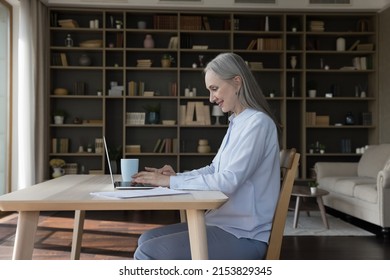 Positive Happy Senior Freelance Business Lady Using Laptop At Table In Home Office, Working On Online Project At Computer, Typing, Chatting On Internet. Mature Homeowner Woman Paying Bills