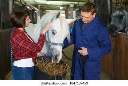 Positive horse farm workers feeding horse with hay at stable
