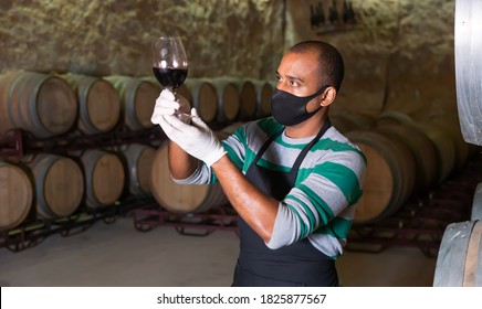 Positive House Sommelier In Protective Mask Tasting Red Wine From Barrels