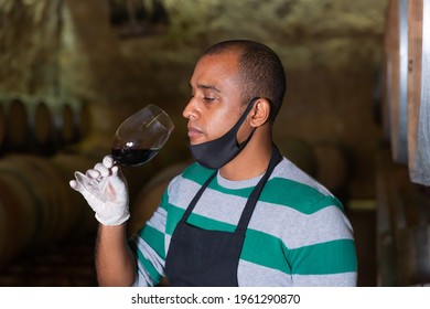 Positive House Sommelier In Protective Mask Tasting Red Wine From Barrels