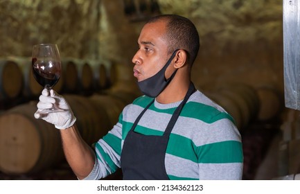 Positive House Sommelier In Protective Mask Tasting Red Wine From Barrels