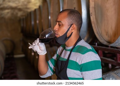 Positive House Sommelier In Protective Mask Tasting Red Wine From Barrels