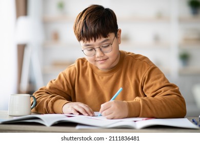 Positive Intelligent Asian Schooler Chubby Teen Boy Doing Homework, Sitting At Table And Writing At Notebook, Enjoying Educational Process, Copy Space, Home Interior. Kids And School Concept