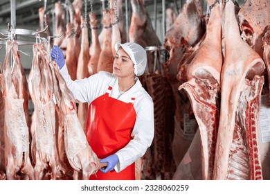 Positive interested young female butcher working in chilling room of meat processing factory, checking raw lamb carcasses hanging on hooks - Powered by Shutterstock