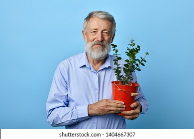 positive kind old bearded man holding flower pot with green plant house and looks at the camera. free time, hobby, spare time - Powered by Shutterstock