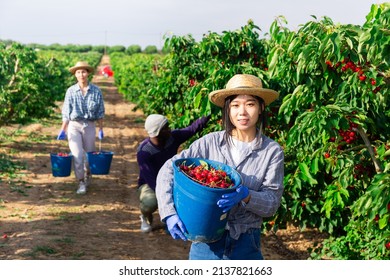 Positive Korean Female Gardener Posing After Stock Photo 2137821663 ...