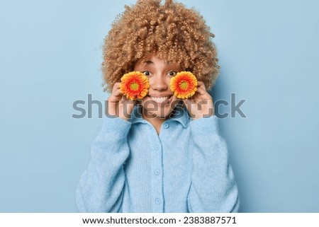 Positive lovely curly haired woman holds orange gerbera flowers near face smiles gladfully wears casual jumper going to make bouquet isolated over blue background bites lips. Feminity concept