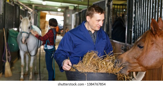 Positive male horse farm worker feeding horse with hay at stable - Powered by Shutterstock