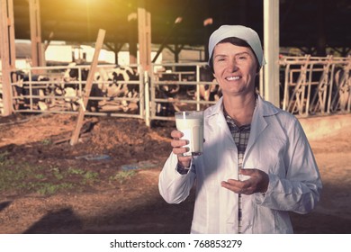 Positive Mature Woman Farmer With Cow Milk In Glass At Cowshed On Dairy Farm