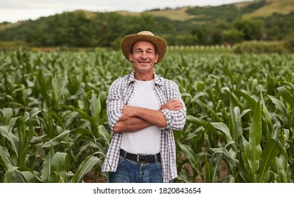 Hombre positivo de mediana edad con los brazos cruzados sonriendo y mirando la cámara mientras estaba parado en el campo de maíz en la granja en el campo