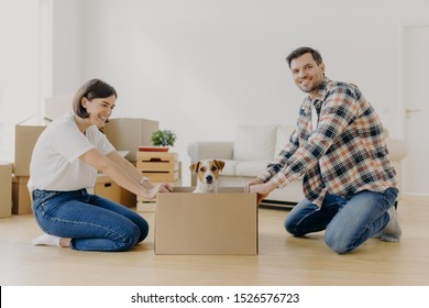 Positive Millennial Couple Play With Favourite Pet, Have Fun During Moving In New Apartment, Stand On Knees Near Carton Box With Dog, Enjoy Domestic Atmosphere, Live Together In Modern House