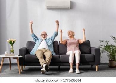 Positive senior couple showing yeah gesture while sitting on couch in living room