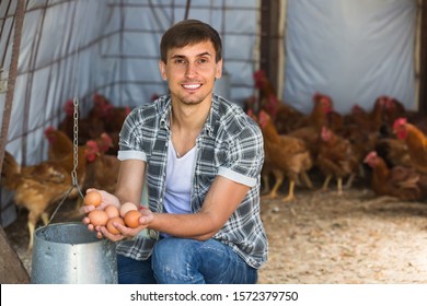 Positive Smiling Young Male Farmer Picking Fresh Chicken Eggs In Coop
