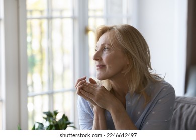 Positive thoughtful pretty middle aged blond woman sitting on home sofa, keeping hands at chin, looking at window away with good thoughts, thinking over future retirement, planning, dreaming - Powered by Shutterstock