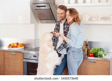 Positive young couple rejoice over the weekend in their new kitchen in a country house with their great faithful dog. Love and family concept - Powered by Shutterstock