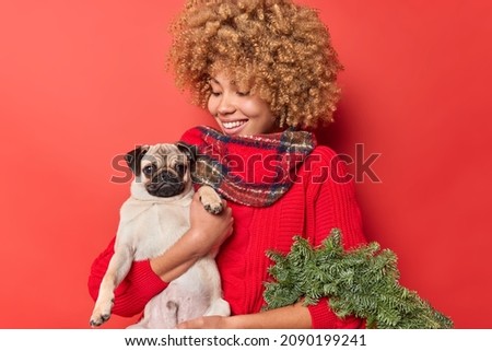 Similar – Image, Stock Photo Christmas dog