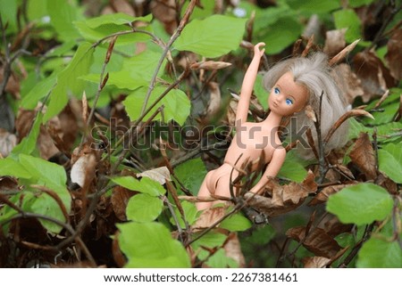 Post apocalyptic Barbie doll with blond hair bush hedge