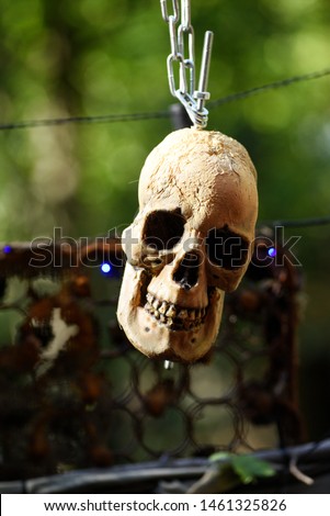 Post apocalyptic skull. 
