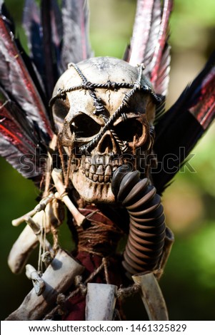 Post apocalyptic skull. 

