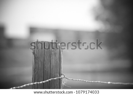 slats on the fence