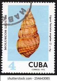 Postage stamp Cuba 1973 Liguus Fasciatus Angelae Shell